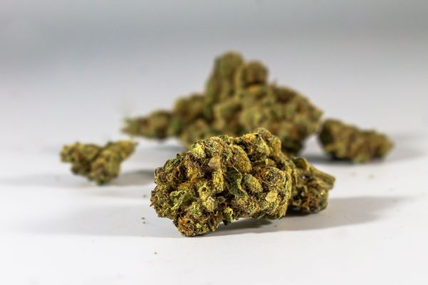 Top 5 avantages des fleurs cbd puissantes pour votre santé